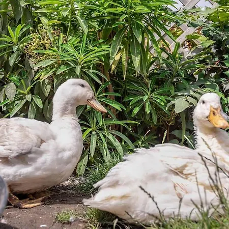 Duck Terrace With Gym Duckling Stays Kibworth Harcourt Exterior photo